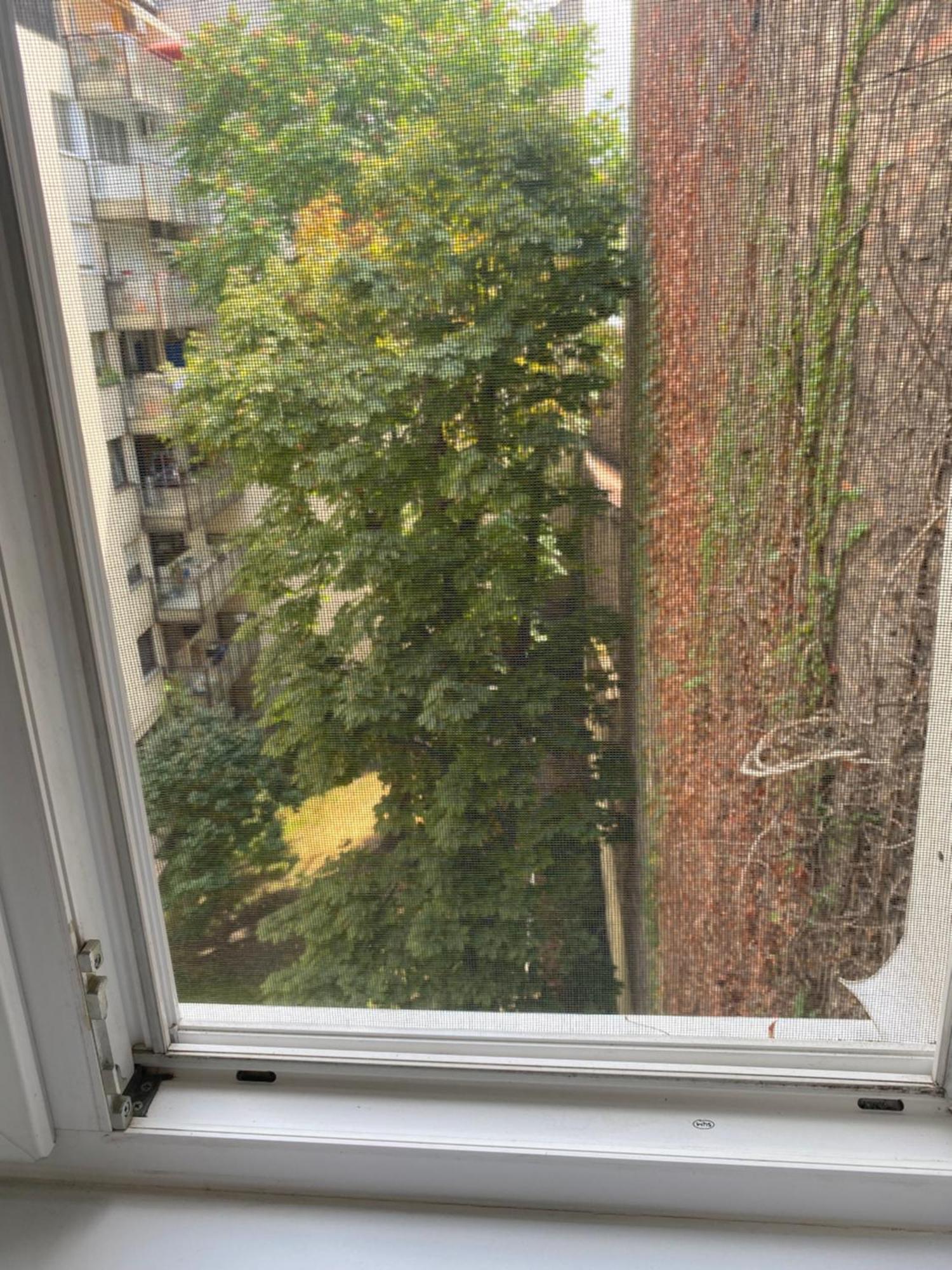 Oasis One Bedroom For Renting Apartman Budapest