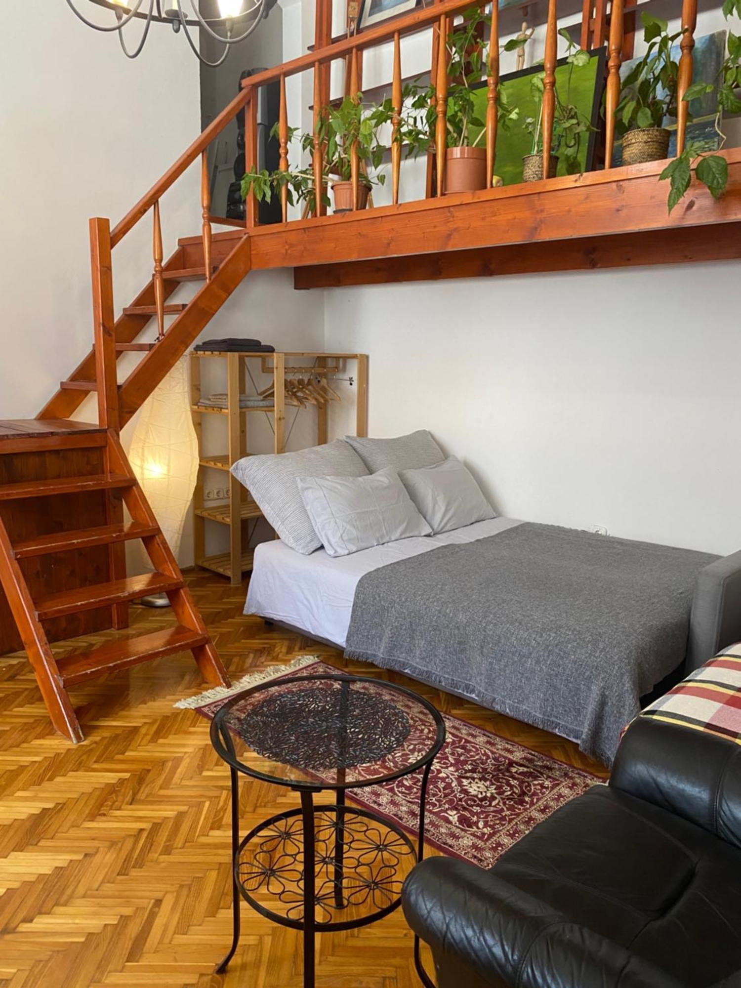 Oasis One Bedroom For Renting Apartman